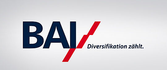 BAI Newsletter 2010